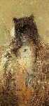 images/heartofthejaguar.jpg